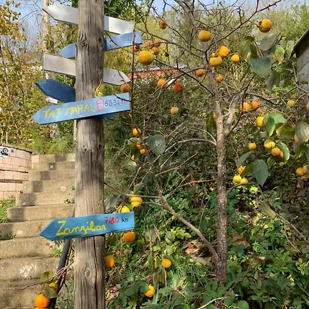 Dom wakacyjny Eco Mezzanine Wifi Stationnement Rue Gratuit Terrasse Dans Jardin Rouen