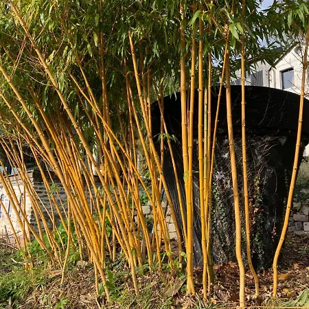 Eco Mezzanine Wifi Stationnement Rue Gratuit Terrasse Dans Jardin Dom wakacyjny