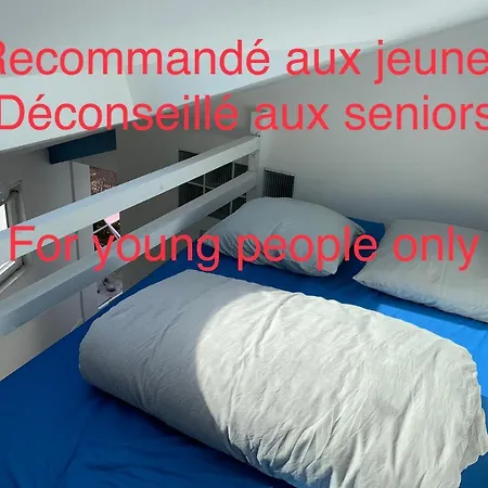 Eco Mezzanine Wifi Piscine Stationnement Gratuit Terrasse Dans Jardin Rouen